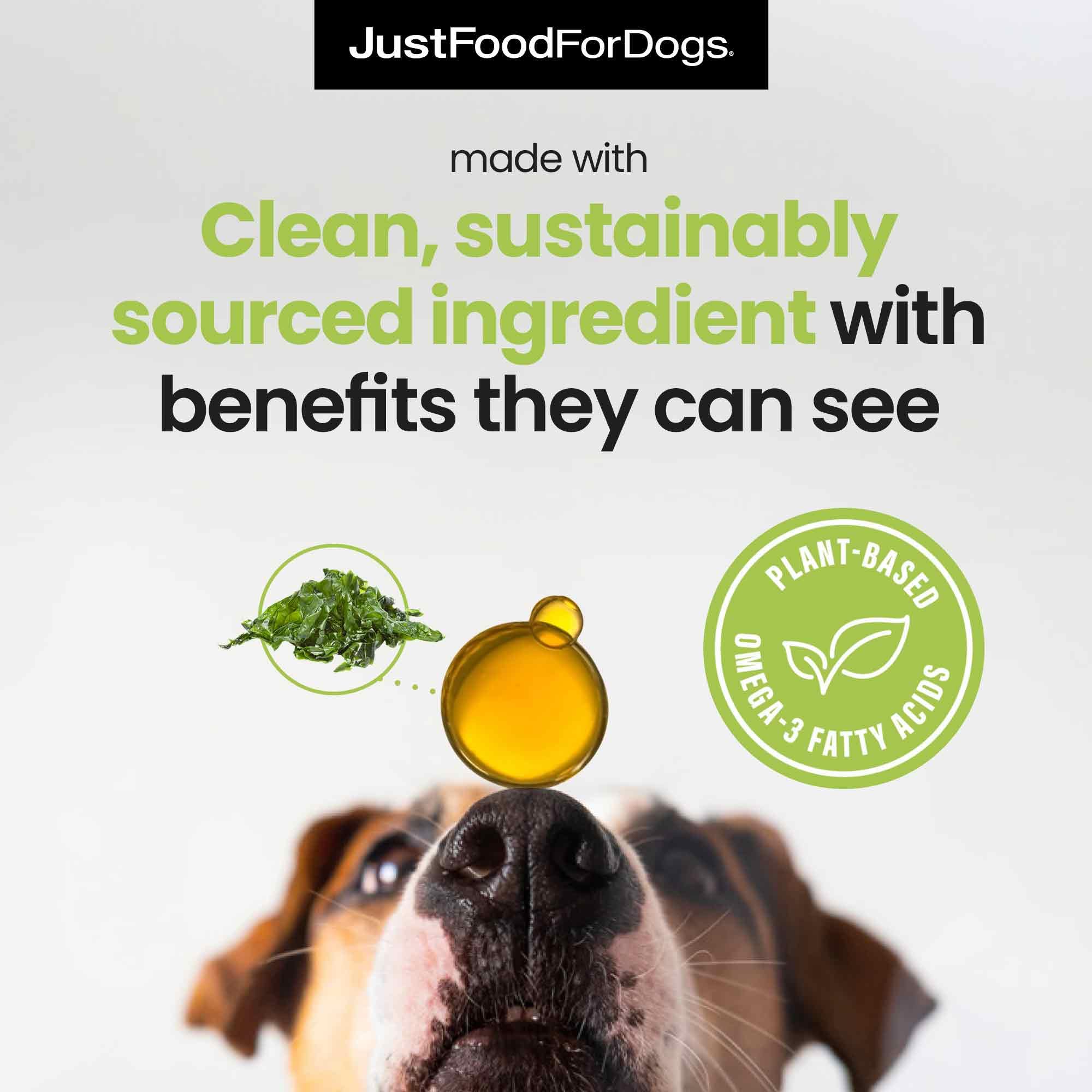 JustFoodForDogs Omega Plus Oil spoon; easy daily skin and coat support.