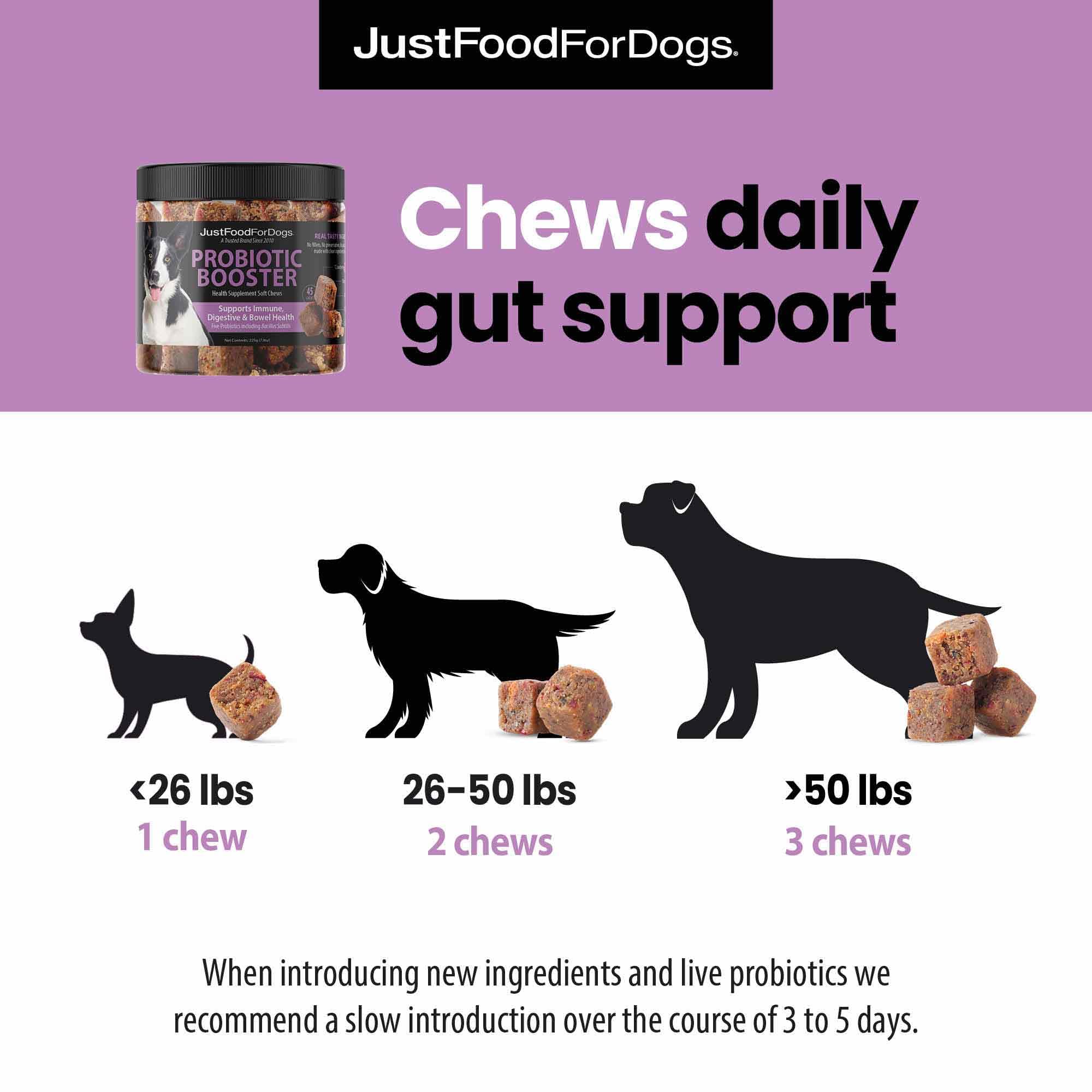 JustFoodForDogs Probiotic Booster chew on dish demonstrates convenient, plant-based digestive support.