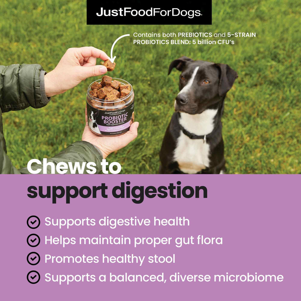 JustFoodForDogs Probiotic Booster dog chew near paw, supports healthy digestion and everyday wellness.