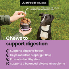 JustFoodForDogs Probiotic Booster dog chew near paw, supports healthy digestion and everyday wellness.