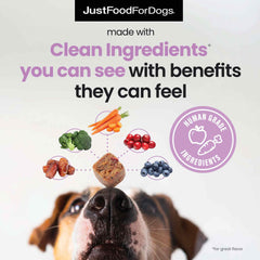 JustFoodForDogs Probiotic Booster soft chew ingredients closeup emphasizes plant-based, protein-sensitive friendly formulation.