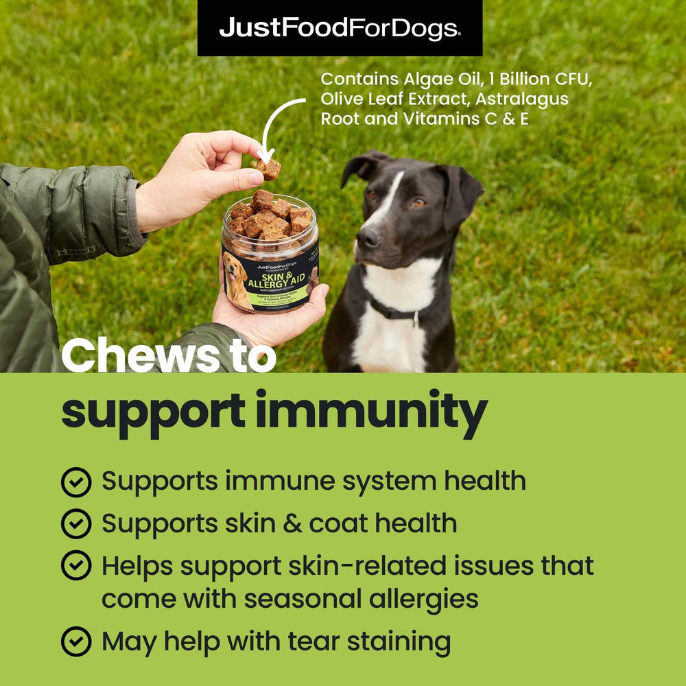 JustFoodForDogs soft-chews ingredients close-up showing blueberries and broccoli for immune support