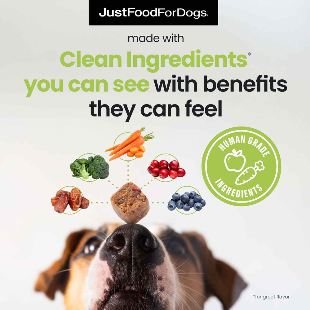 JustFoodForDogs soft-chews texture close-up showcasing natural bite-sized pieces