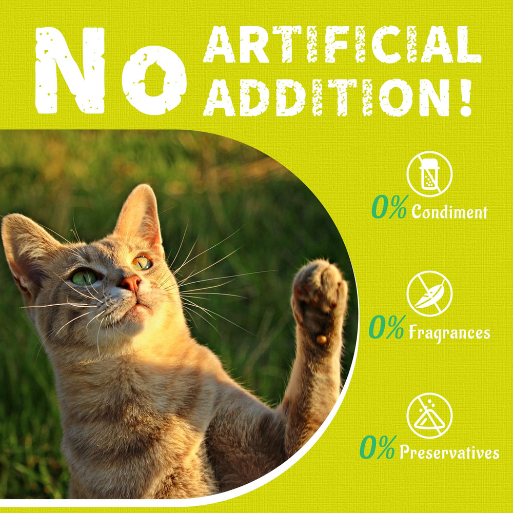 Just Try immune-support snack closeup implies daily defense for indoor cats.