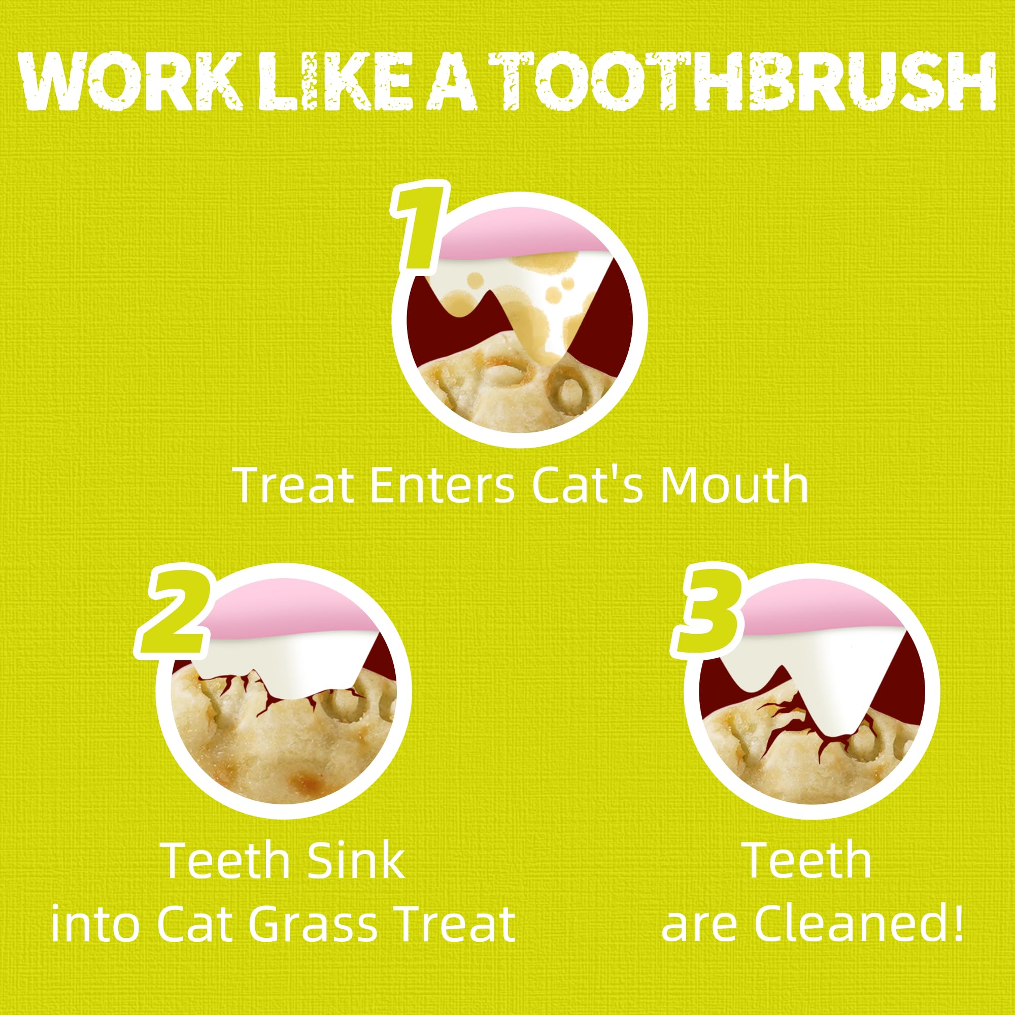 Just Try joint-health treat closeup suggests mobility support for aging cats.