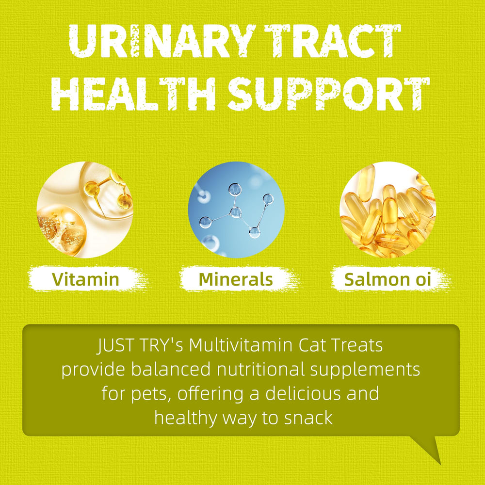 Just Try cat treats dish serve captures daily feeding moment with reward-friendly appeal.