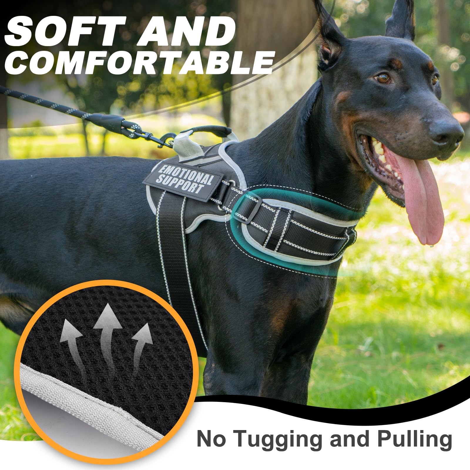 JUSTYEZI 5ft leash with dispenser for mess-free outings