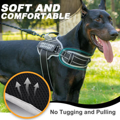 JUSTYEZI 5ft leash with dispenser for mess-free outings