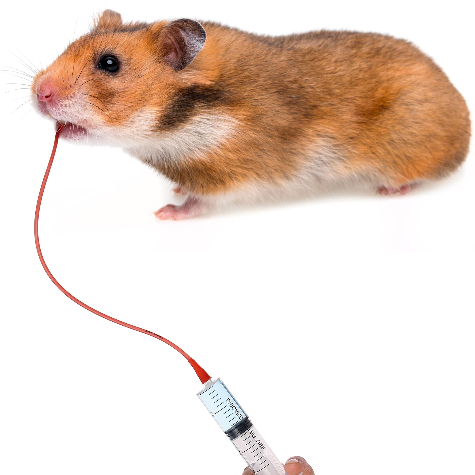 Jutom small animal feeding kit useful for goats and other pets