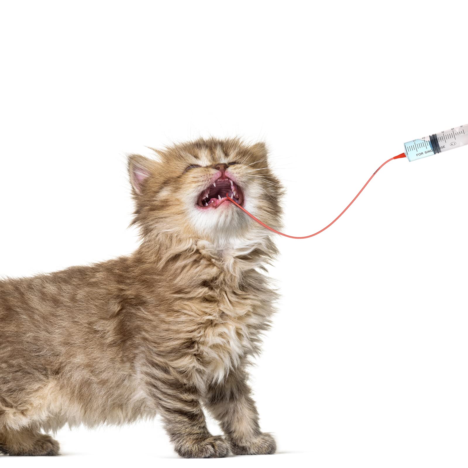 Jutom puppy feeding tube 8 FR for versatile small-animal use