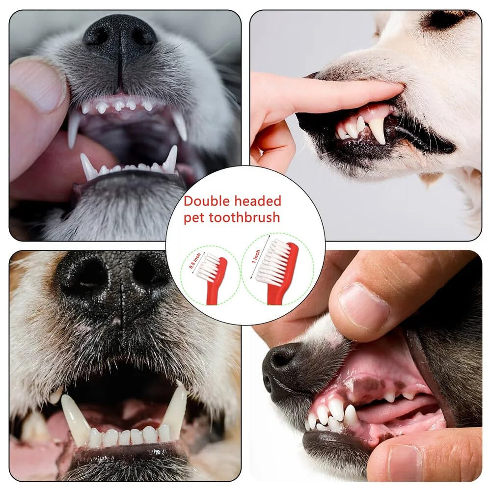 JUWANTU dog and cat toothbrush set supports brushing across sizes
