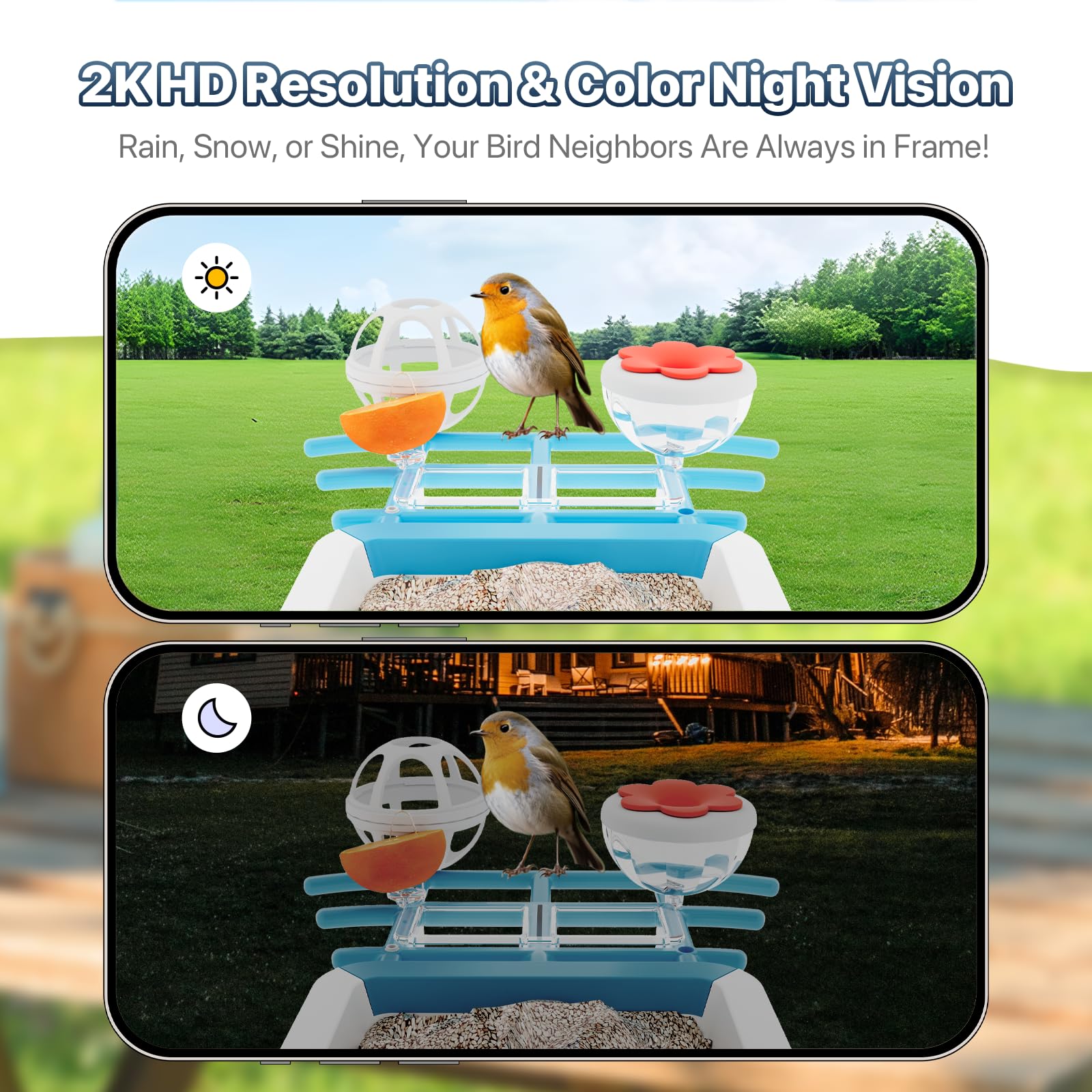 Juzjuly 2K HD camera captures feather details for close-up identification.