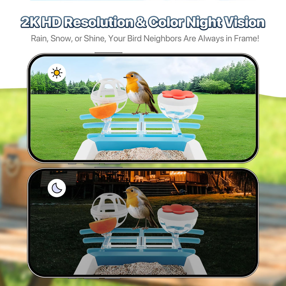 Juzjuly 2K HD camera captures feather details for close-up identification.
