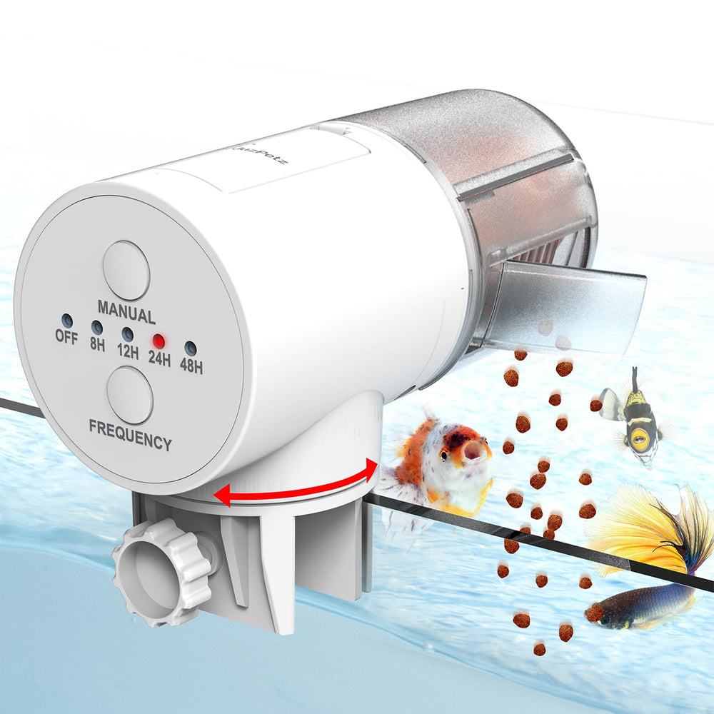 JuzPetz automatic fish feeder on aquarium setup for consistent feeding