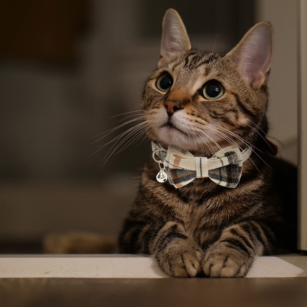 JVVGPET cat collar plaid-design close-up shows timeless pattern