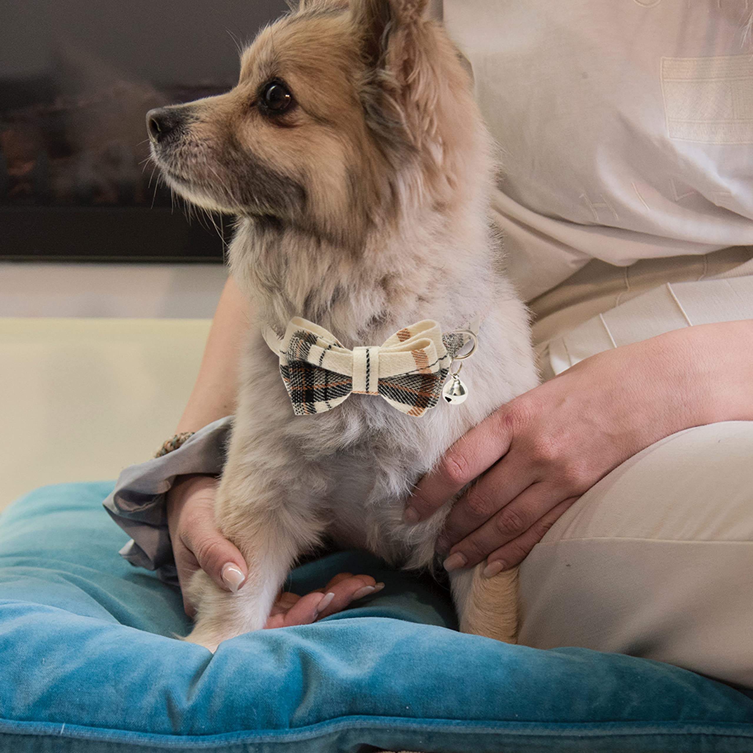 JVVGPET cat-collar-removable-bow-bells focuses on easy customization