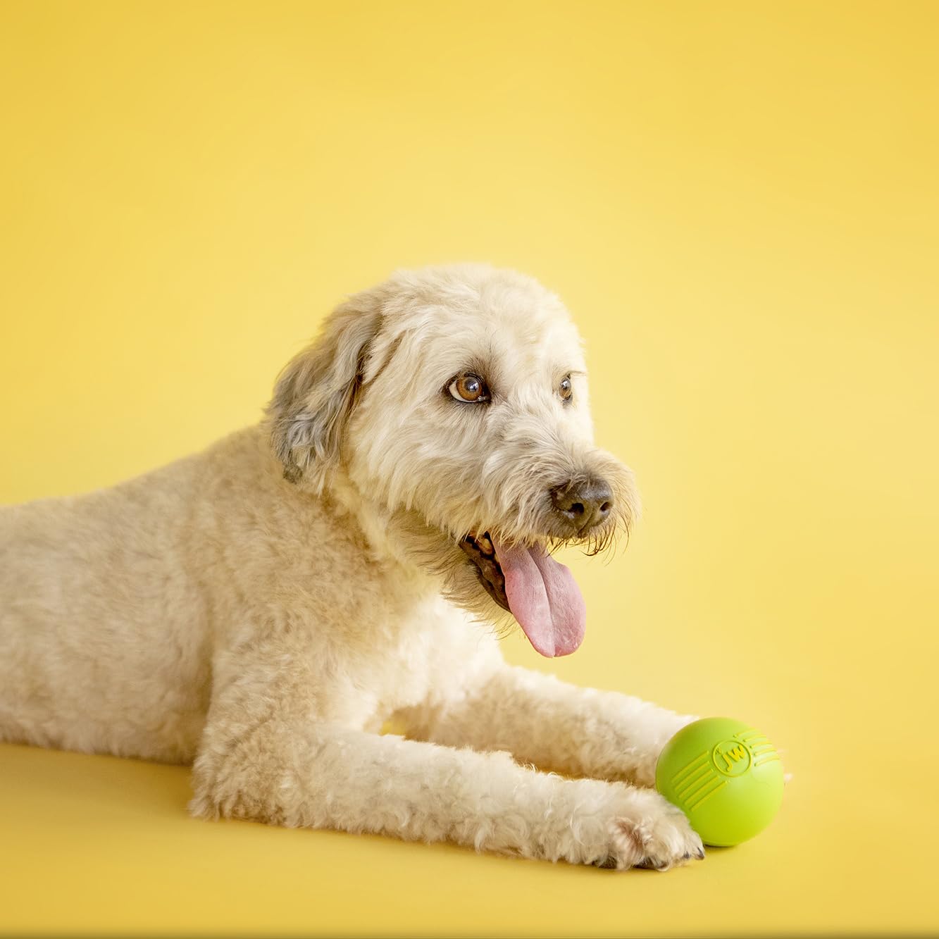 JW Pet iSqueak Ball Large ideal for bonding during play.
