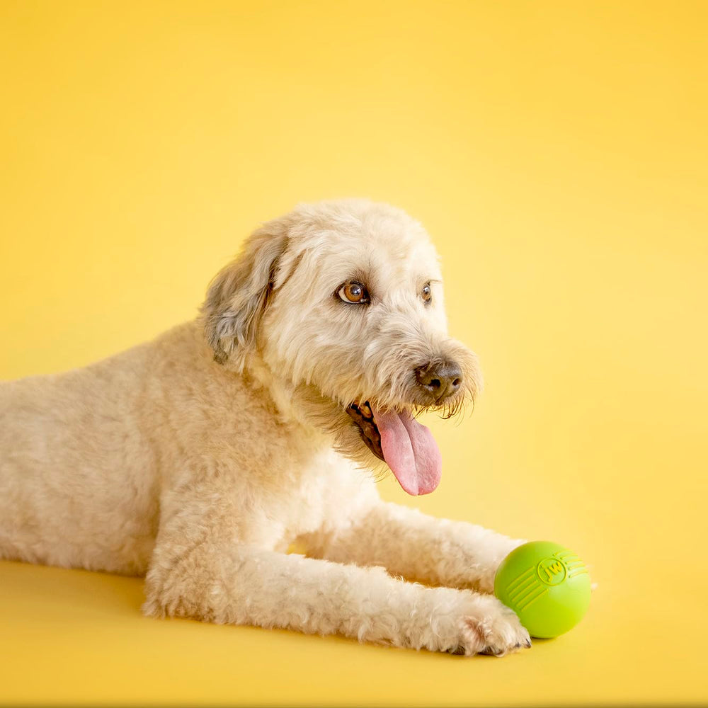 JW Pet iSqueak Ball Large ideal for bonding during play.