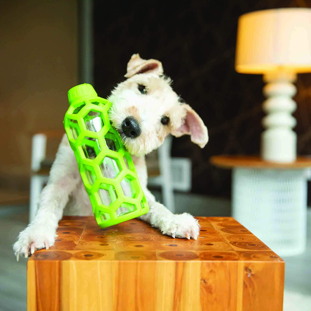 JW Pet Hol-ee Bottle Toy in action promotes safe chewing and interactive play.