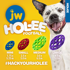 JW Hol-ee Football Dog Toy with irregular bounce for indoor outdoor fetch