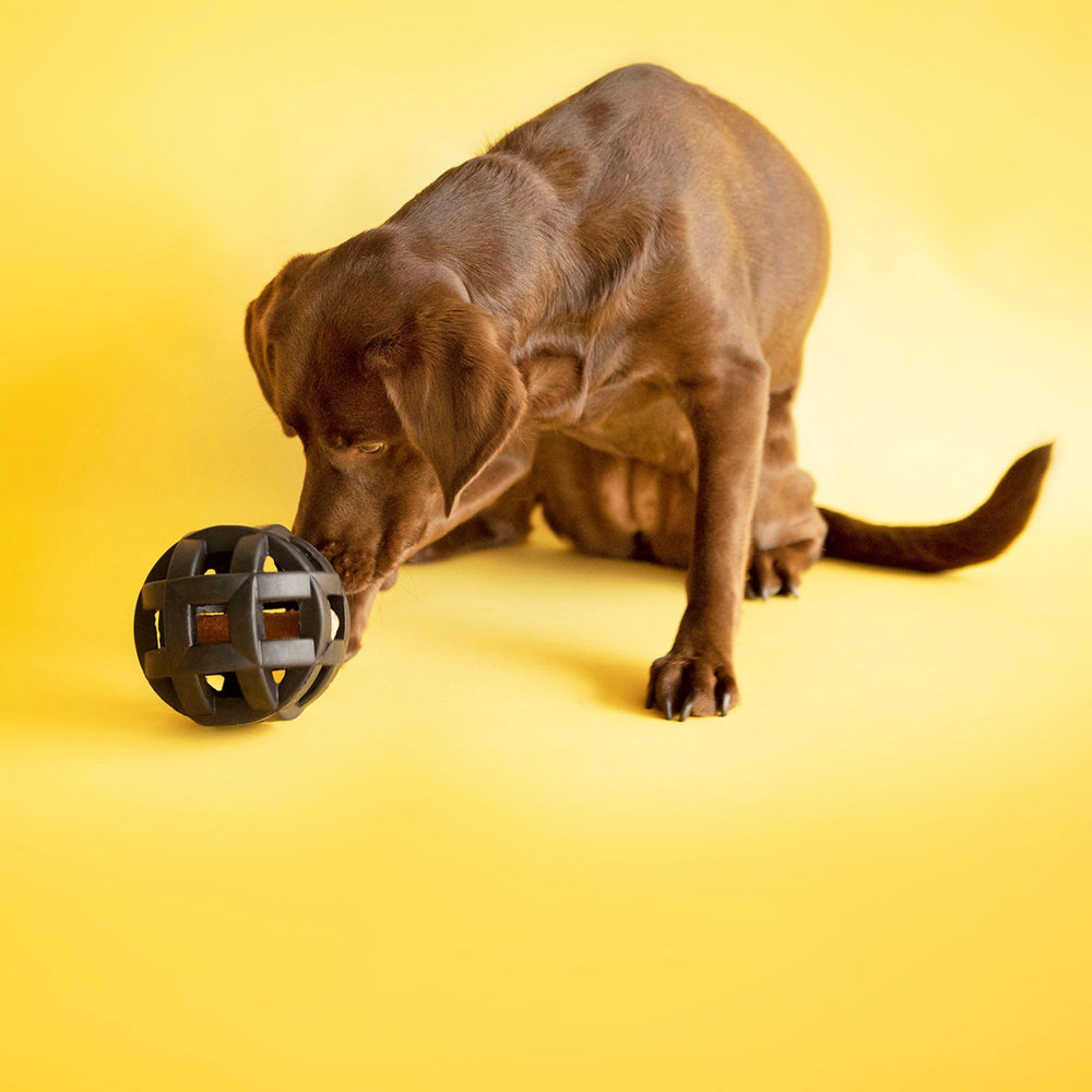 JW Hol-ee Roller Extreme treat-dispensing feature supports mental engagement during play.