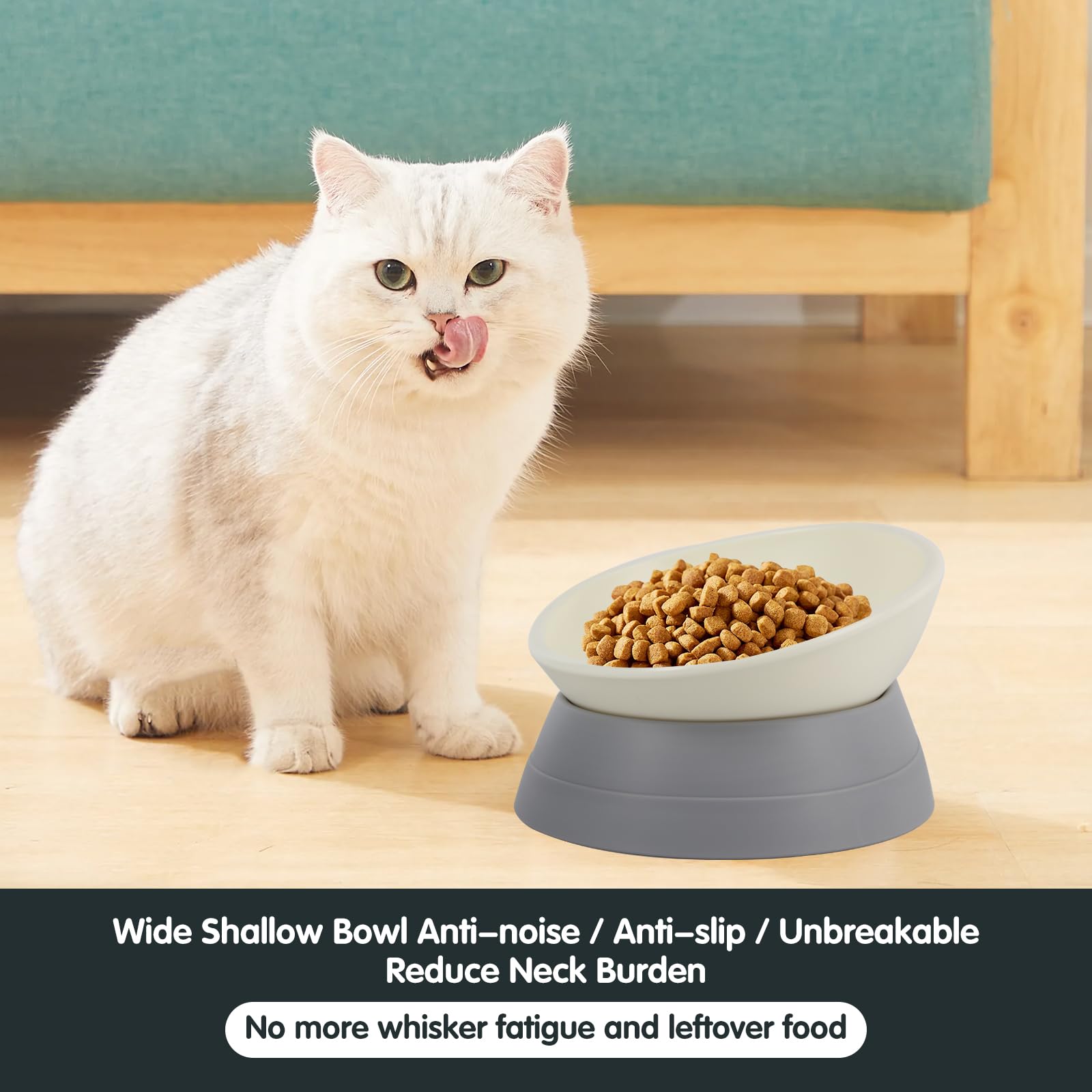 JWPC Bulldog Bowl tilted design highlights center spill prevention during meals.