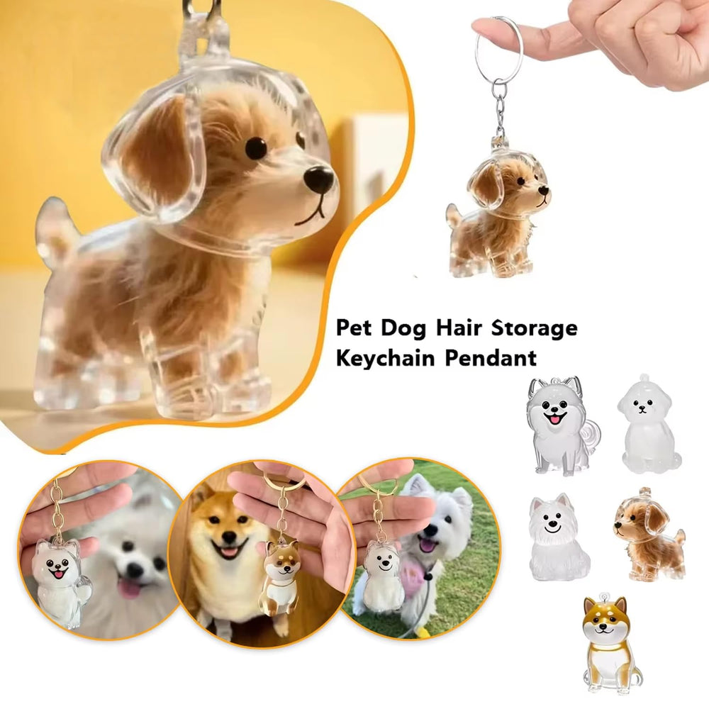 JXLBYSZMY pet lovers keepsake holder for reflection moments