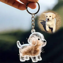 JXLBYSZMY transparent design shows contents securely