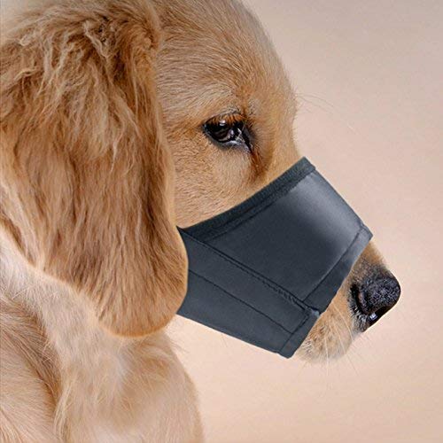 JYHY breathable nylon construction promotes airflow and lighter wear during daily walks.