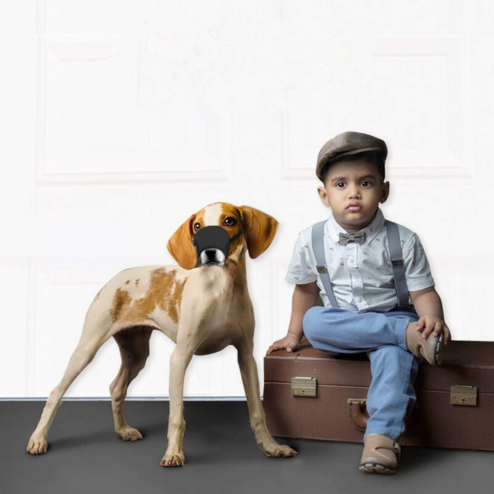JYHY safety-focused dog muzzle helps curb barking and protect others during outings.