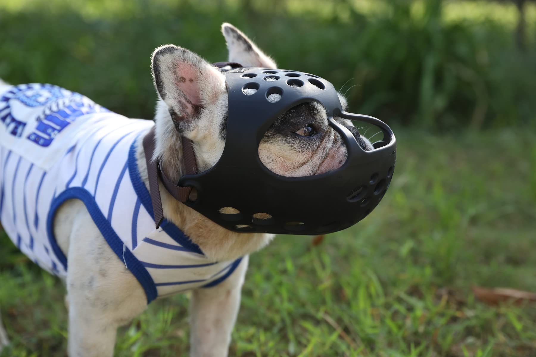 JYHY muzzle design allows tongue-out breathing for comfortable wear.