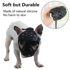 JYHY muzzle on a dog, providing bite protection during outdoor activity.