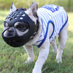JYHY short snout muzzle in black, breathable and comfortable for daily wear.