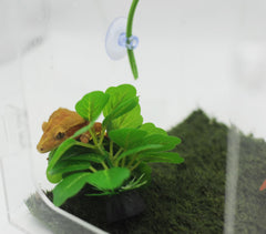 JZNCHP crested gecko hide provides a durable retreat in enclosures.