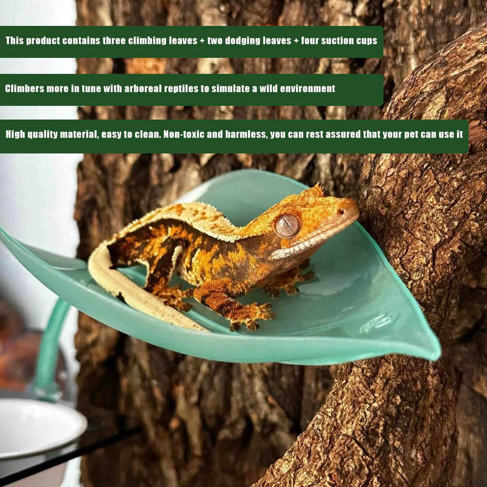 JZNCHP gecko vines create natural climbing structures for playful habitats.