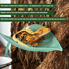 JZNCHP gecko vines create natural climbing structures for playful habitats.