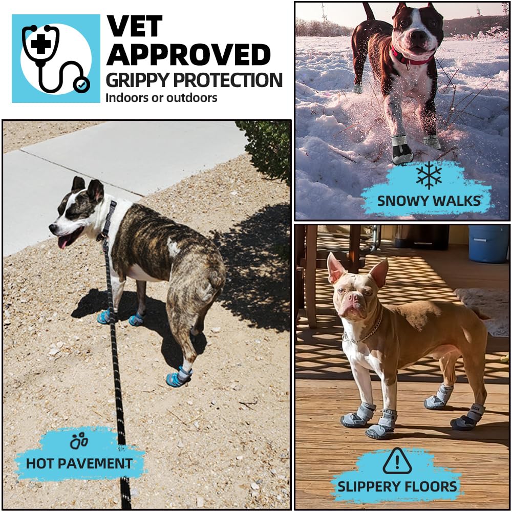 JZXOIVA large dog walking on hot pavement wearing boots for protection
