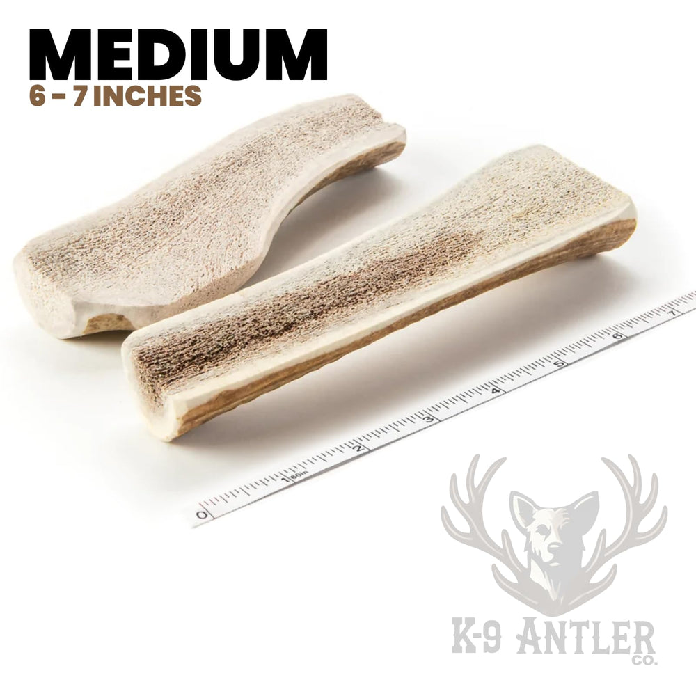 K-9 Antler Co puppy-friendly elk antler split chew for safe engagement.