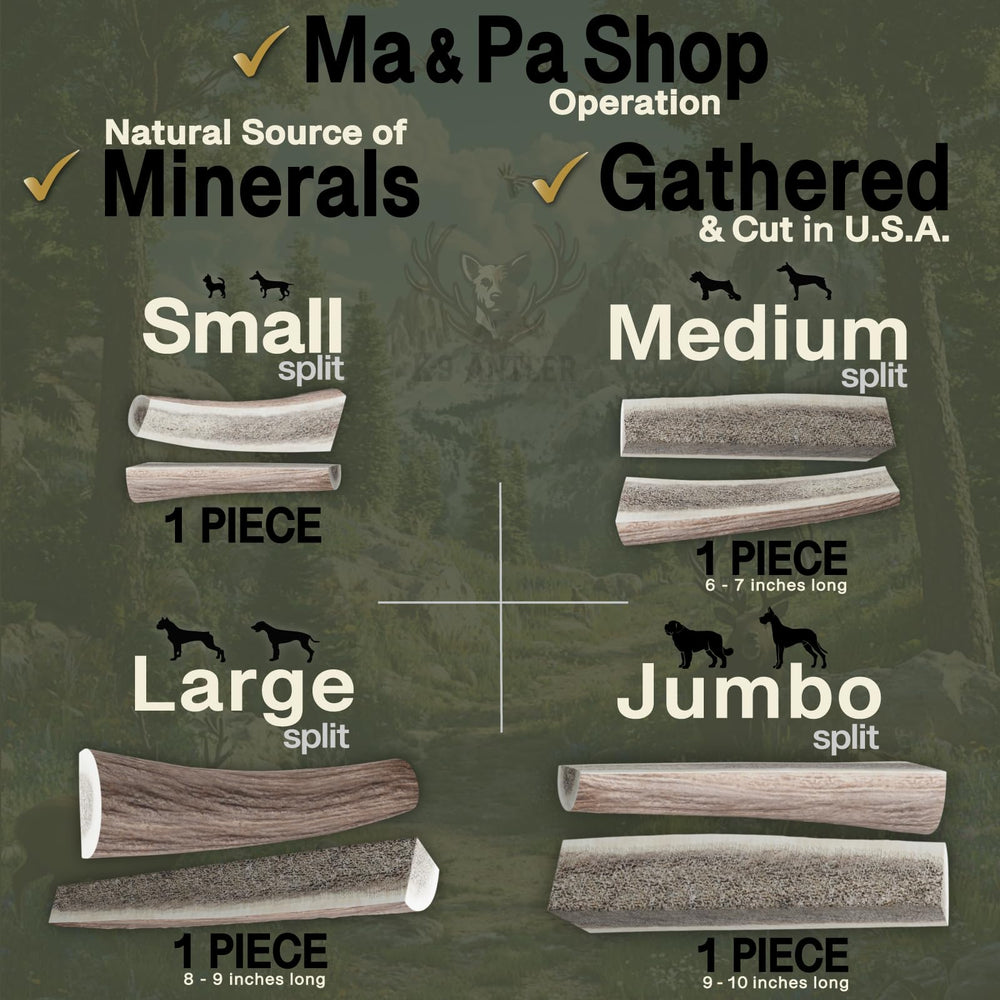 K-9 Antler Co Beagle-sized elk-antler medium split supports moderate chewers.