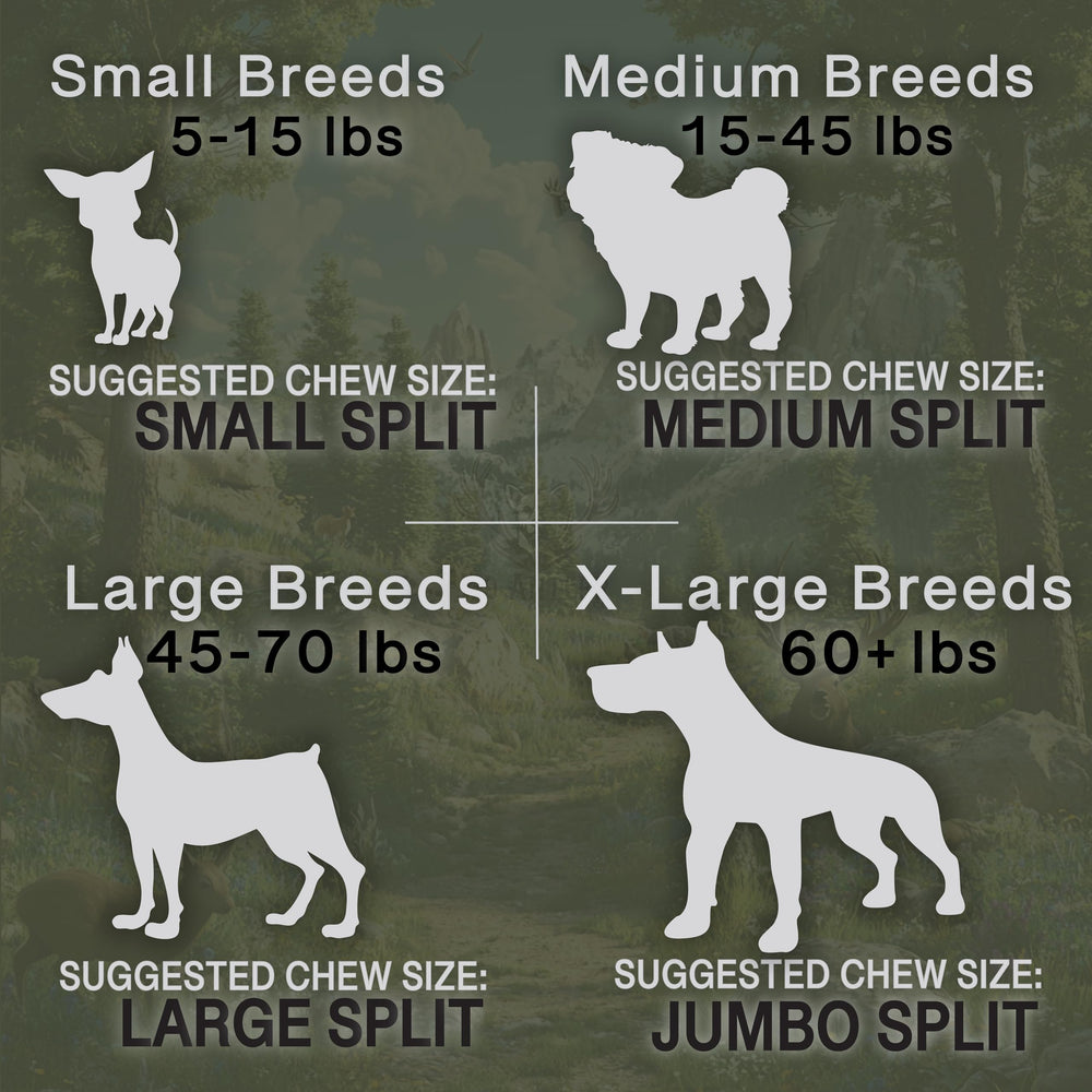 K-9 Antler Co naturally shed elk antler sources eco-friendly and cruelty-free.