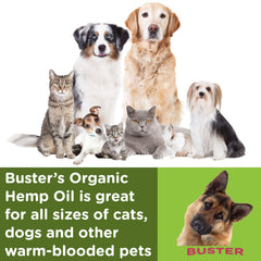 K2xLabs Buster hemp oil for cats and dogs demonstrates versatile home use.