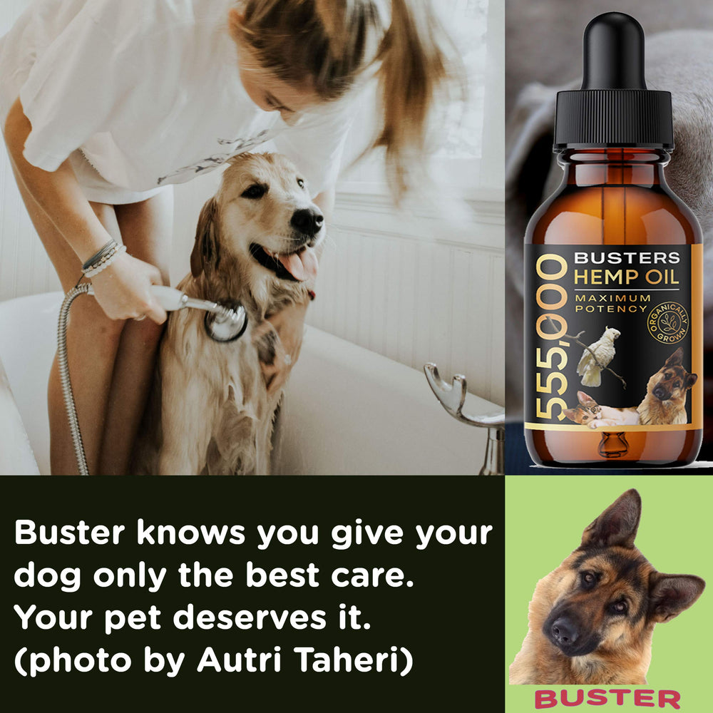K2xLabs Buster's 8-month supply packaging highlights value and ongoing pet care.