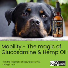K2xLabs Busters hemp oil aids a dog during a joyful run with mobility