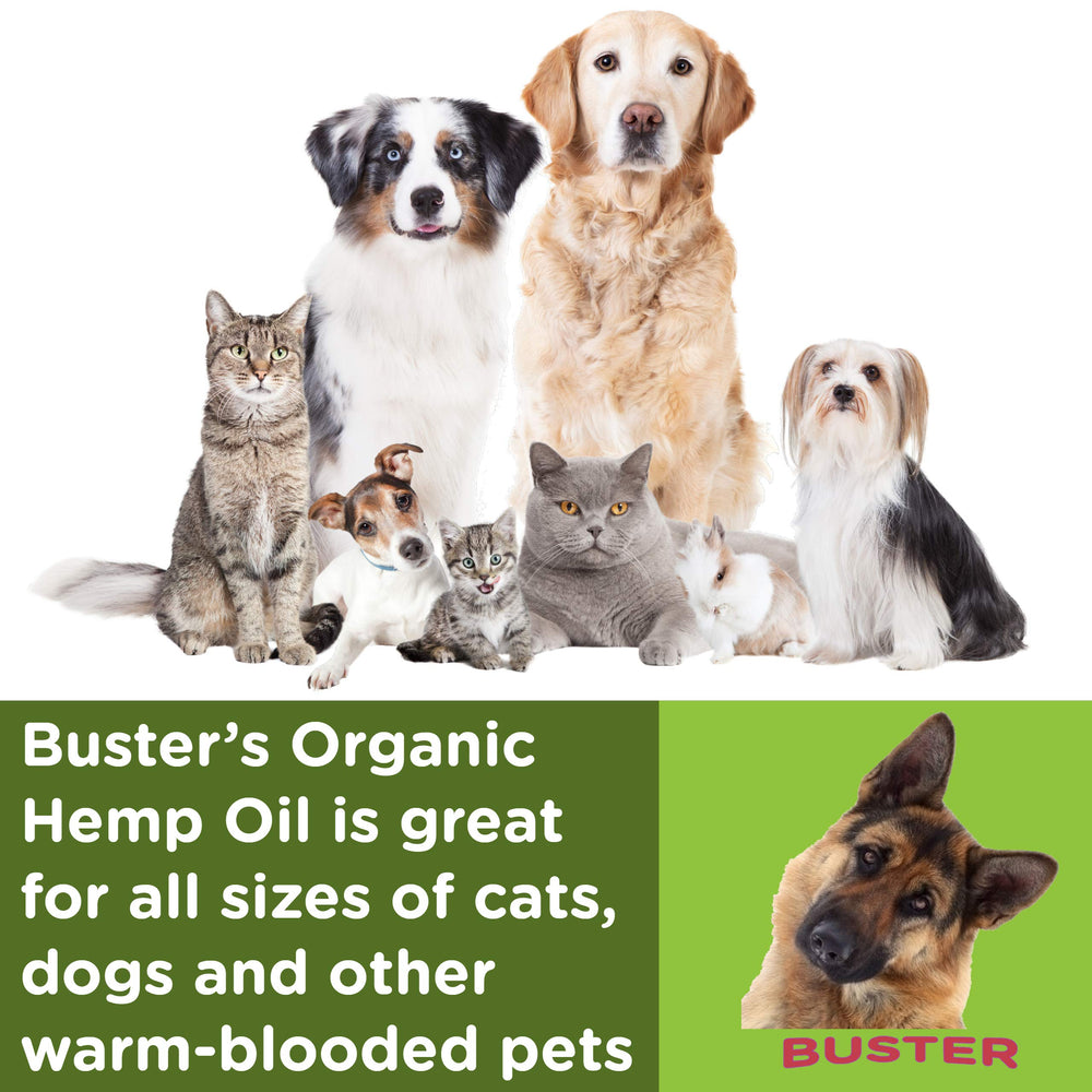 K2xLabs Busters hemp oil bottle label highlights vegan, organic formula