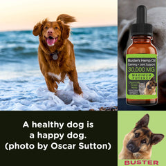 K2xLabs Busters hemp oil coat shine and overall pet wellness