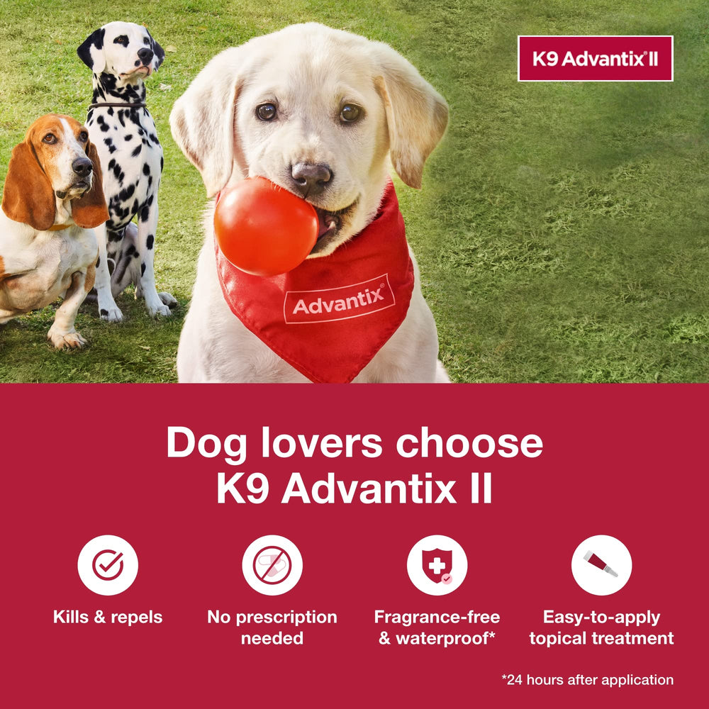 K9 Advantix II kills fleas within 12 hours after application.