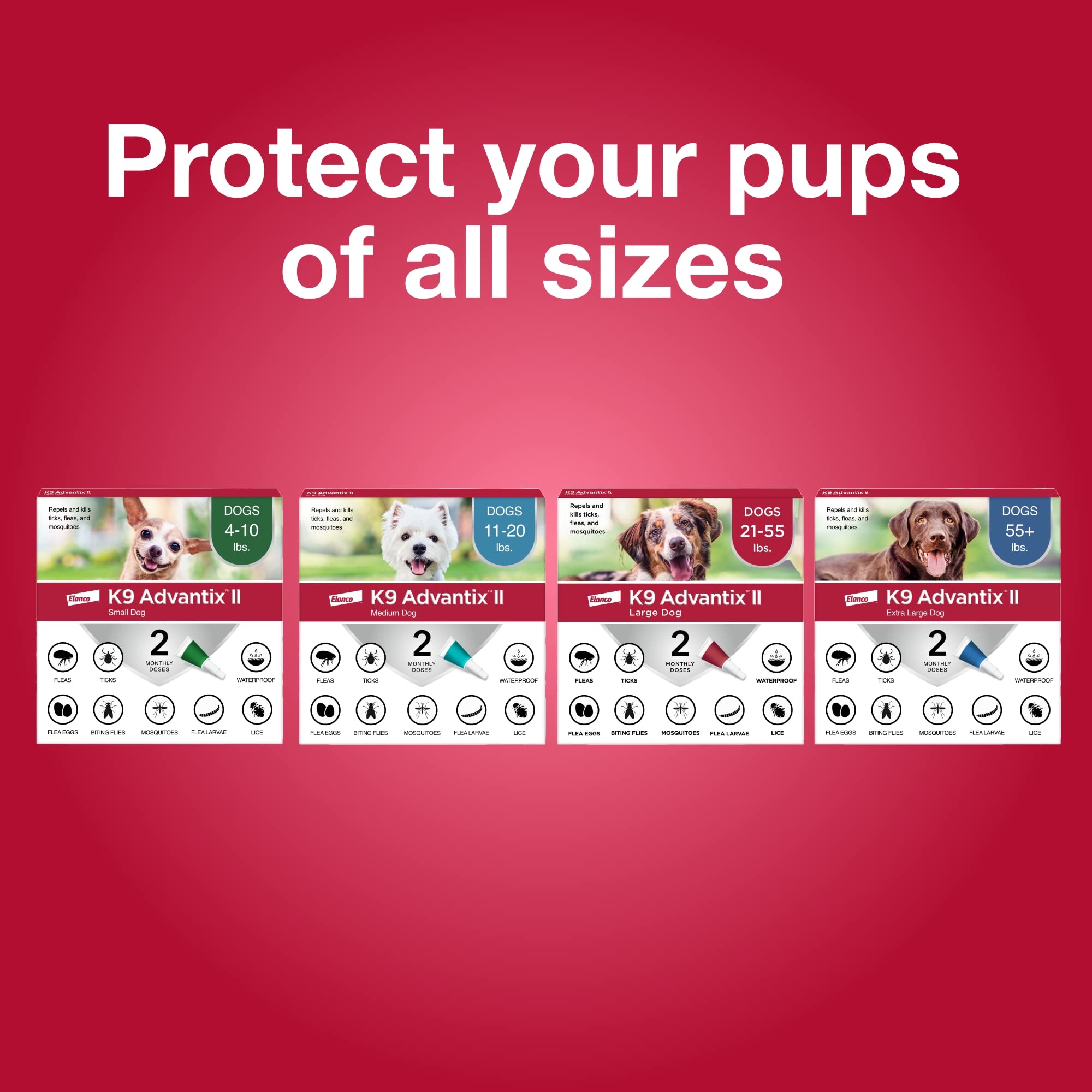 K9 Advantix II Large Dog protects against fleas, ticks, mosquitoes, and lice.