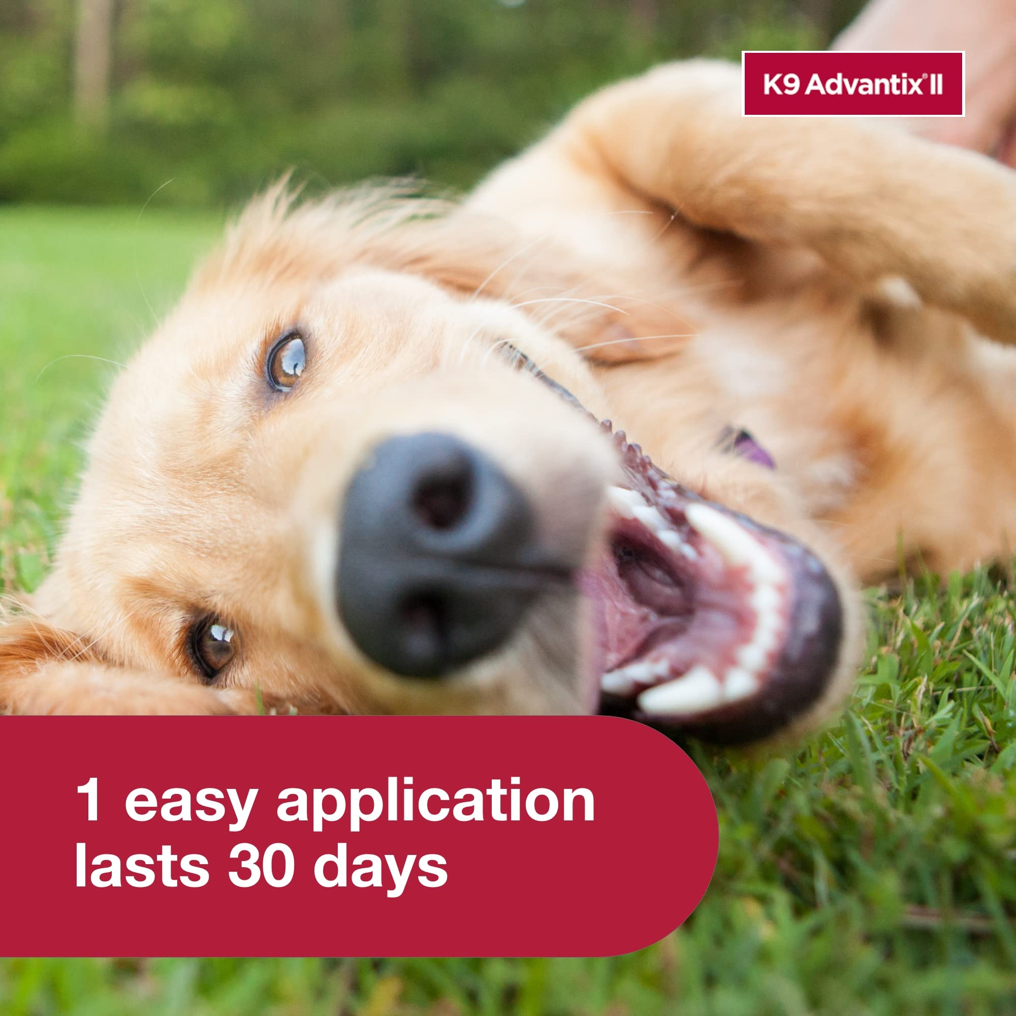 K9 Advantix II Large Dog fragrance-free formula for sensitive pets.