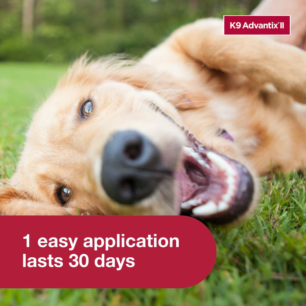 K9 Advantix II Large Dog fragrance-free formula for sensitive pets.