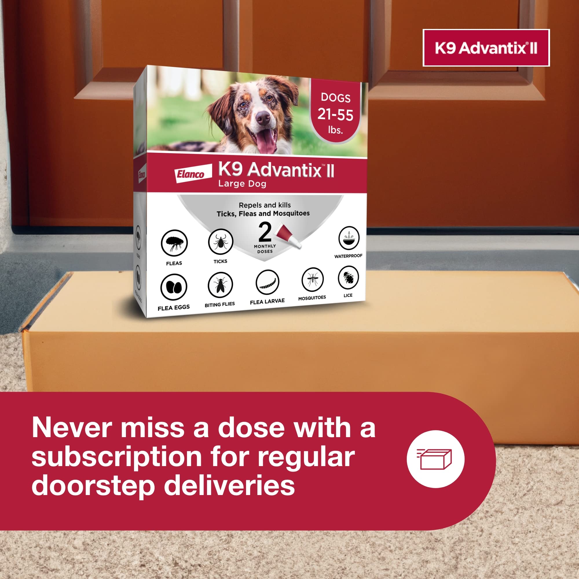 K9 Advantix II Large Dog shows 2-, 4-, or 6-dose packs for convenience.